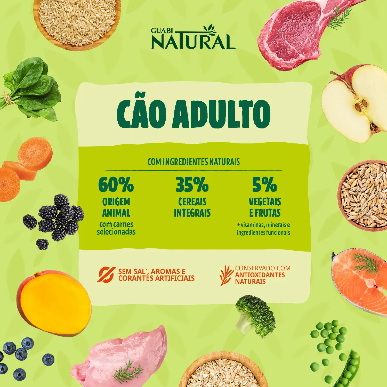 Racao Guabi Natural Caes Adultos Grandes Salmao e Cevada 4